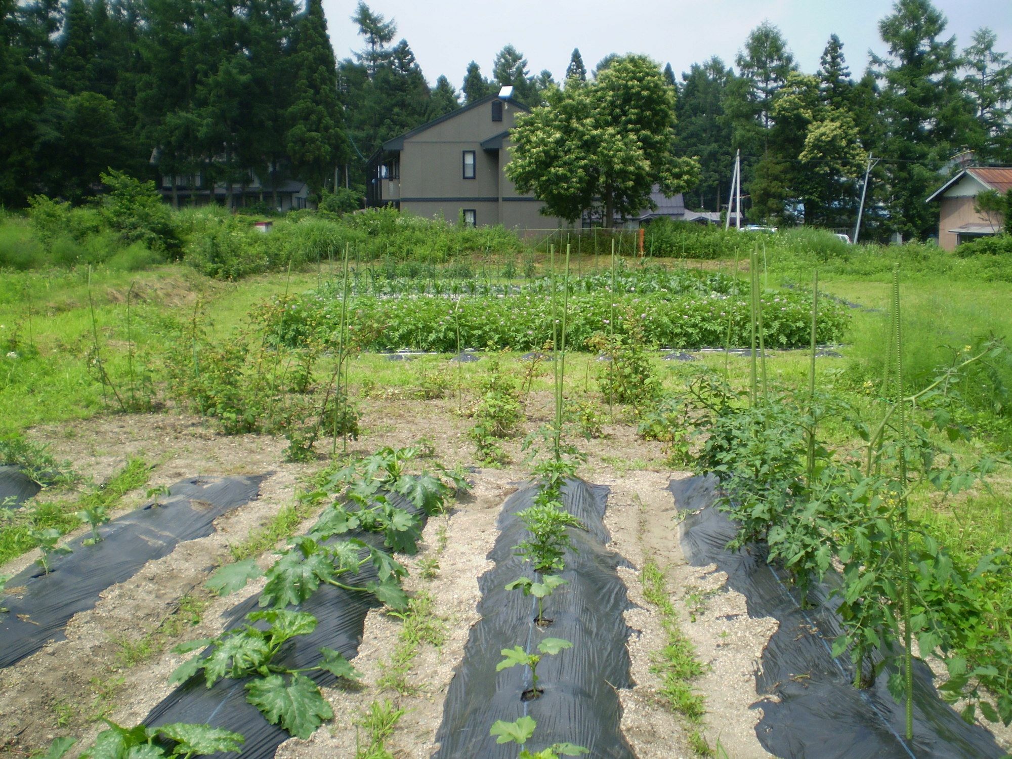 ペンション ちゃうちゃう Bed & Breakfast Hakuba Exterior photo