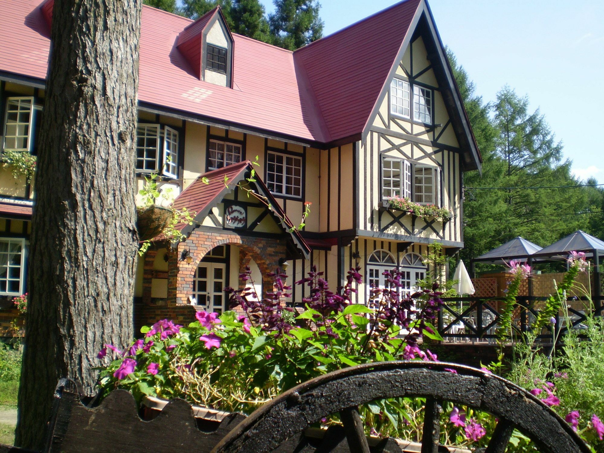 ペンション ちゃうちゃう Bed & Breakfast Hakuba Exterior photo